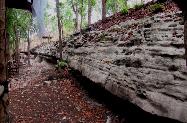 DESA WISATA JOTANGAN KECAMATAN BAYAT